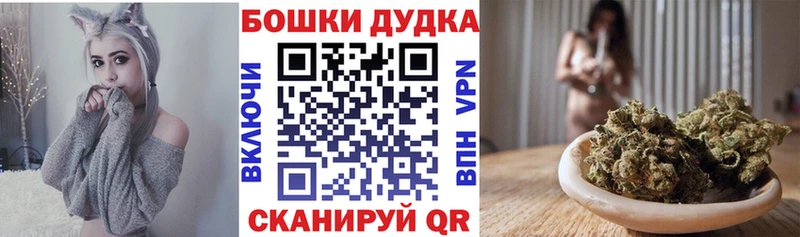 Шишки марихуана конопля  blacksprut зеркало  Пустошка 